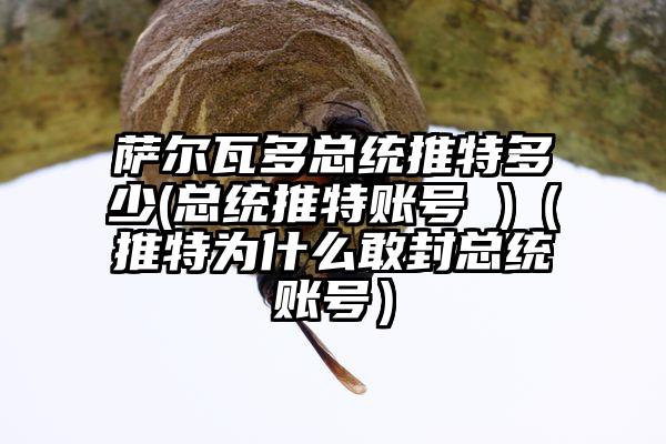 萨尔瓦多总统推特多少(总统推特账号 )（推特为什么敢封总统账号）