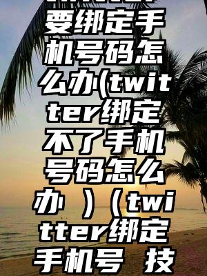 twitter要绑定手机号码怎么办(twitter绑定不了手机号码怎么办 )（twitter绑定手机号 技术问题）