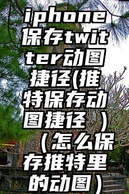 iphone保存twitter动图捷径(推特保存动图捷径 )（怎么保存推特里的动图）
