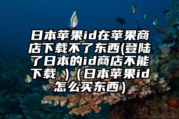 日本苹果id在苹果商店下载不了东西(登陆了日本的id商店不能下载 )（日本苹果id怎么买东西）