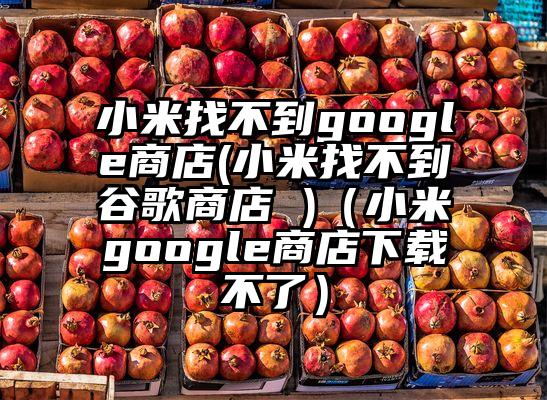 小米找不到google商店(小米找不到谷歌商店 )（小米google商店下载不了）