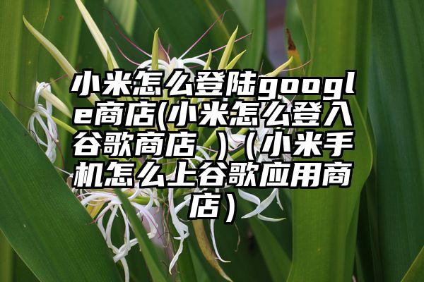 小米怎么登陆google商店(小米怎么登入谷歌商店 )(小米手机怎么上谷歌应用商店)