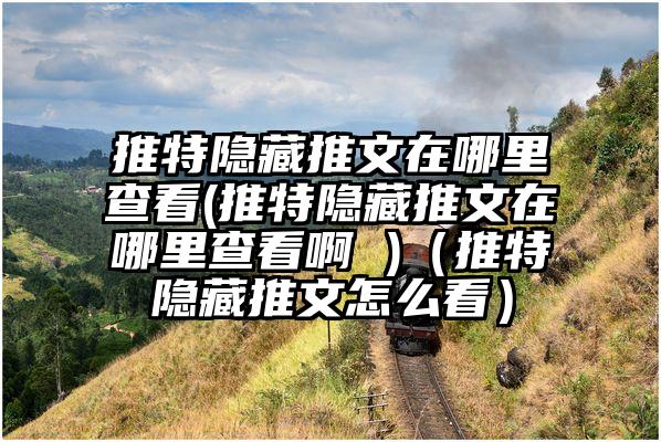 推特隐藏推文在哪里查看(推特隐藏推文在哪里查看啊 )（推特隐藏推文怎么看）