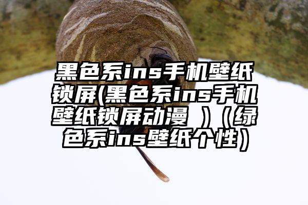 黑色系ins手机壁纸锁屏(黑色系ins手机壁纸锁屏动漫 )（绿色系ins壁纸个性）