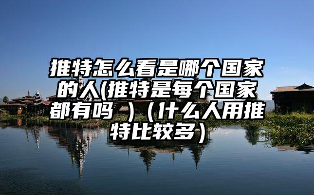 推特怎么看是哪个国家的人(推特是每个国家都有吗 )（什么人用推特比较多）