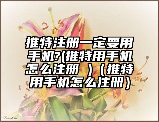推特注册一定要用手机?(推特用手机怎么注册 )（推特用手机怎么注册）