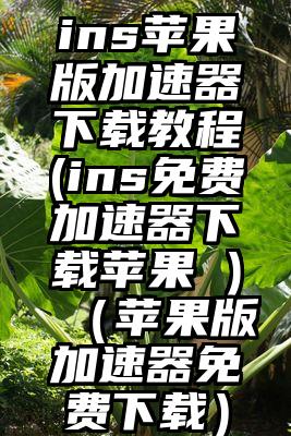 ins苹果版加速器下载教程(ins免费加速器下载苹果 )（苹果版加速器免费下载）