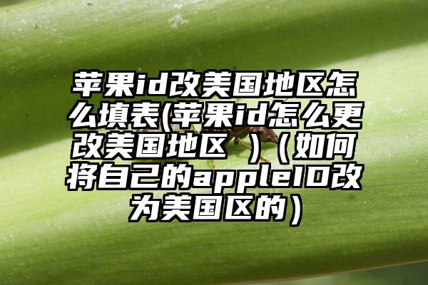 苹果id改美国地区怎么填表(苹果id怎么更改美国地区 )（如何将自己的appleID改为美国区的）