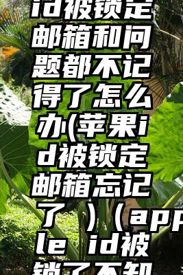美国苹果id被锁定邮箱和问题都不记得了怎么办(苹果id被锁定邮箱忘记了 )（apple id被锁了不知道邮箱）