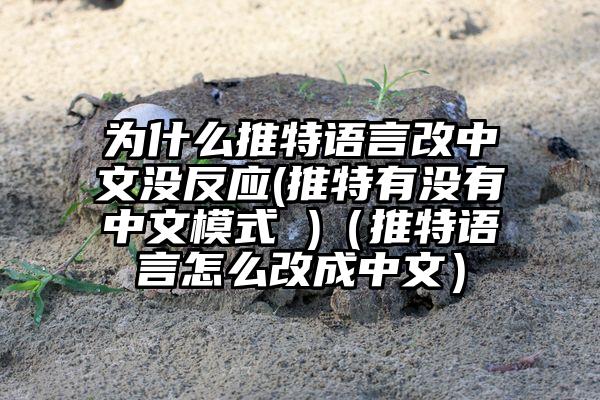 为什么推特语言改中文没反应(推特有没有中文模式 )（推特语言怎么改成中文）