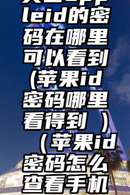 美国appleid的密码在哪里可以看到(苹果id密码哪里看得到 )（苹果id密码怎么查看手机号）
