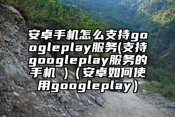 安卓手机怎么支持googleplay服务(支持googleplay服务的手机 )（安卓如何使用googleplay）