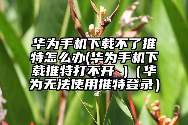 华为手机下载不了推特怎么办(华为手机下载推特打不开 )（华为无法使用推特登录）