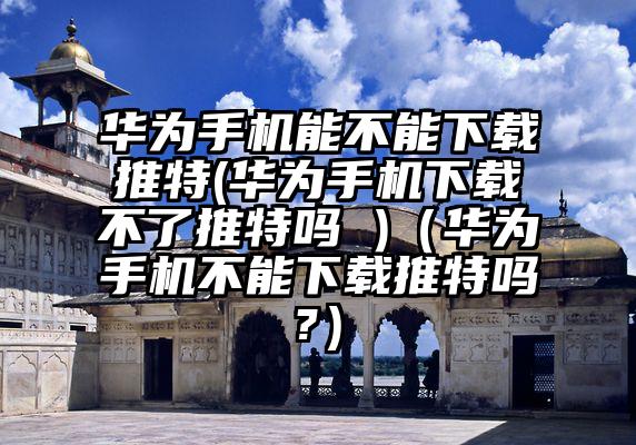 华为手机能不能下载推特(华为手机下载不了推特吗 )（华为手机不能下载推特吗?）
