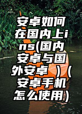 安卓如何在国内上ins(国内安卓与国外安卓 )（安卓手机怎么使用）