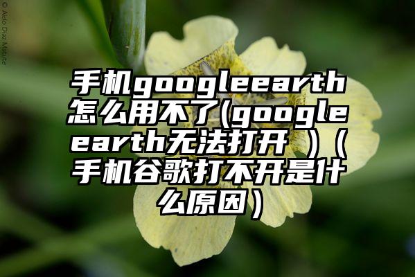 手机googleearth怎么用不了(googleearth无法打开 )（手机谷歌打不开是什么原因）