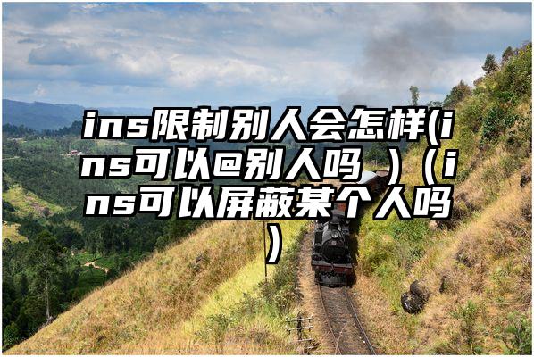 ins限制别人会怎样(ins可以@别人吗 )（ins可以屏蔽某个人吗）
