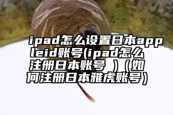ipad怎么设置日本appleid账号(ipad怎么注册日本账号 )（如何注册日本雅虎账号）