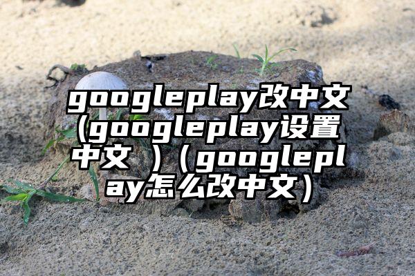 googleplay改中文(googleplay设置中文 )（googleplay怎么改中文）