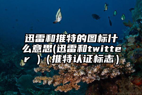 迅雷和推特的图标什么意思(迅雷和twitter )（推特认证标志）