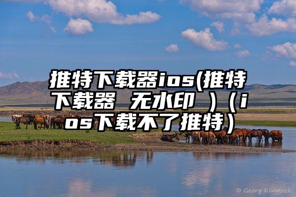 推特下载器ios(推特下载器 无水印 )（ios下载不了推特）