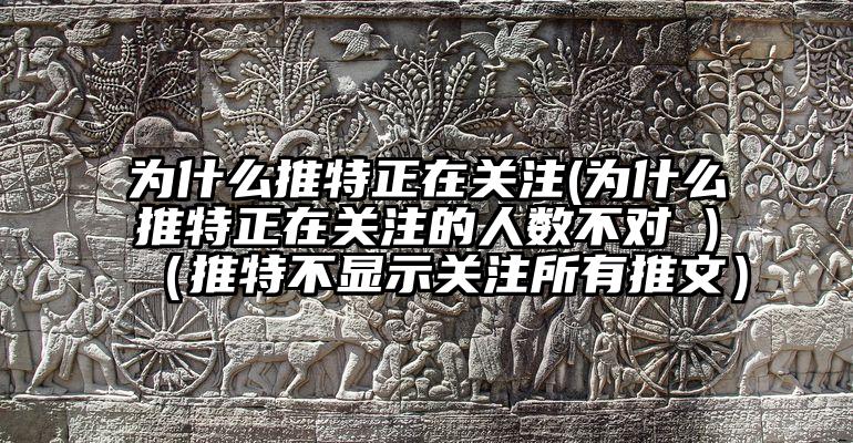 为什么推特正在关注(为什么推特正在关注的人数不对 )（推特不显示关注所有推文）