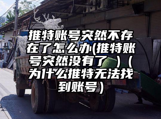 推特账号突然不存在了怎么办(推特账号突然没有了 )（为什么推特无法找到账号）