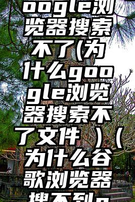 为什么google浏览器搜索不了(为什么google浏览器搜索不了文件 )（为什么谷歌浏览器搜不到p站）