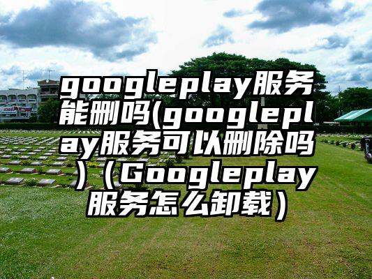 googleplay服务能删吗(googleplay服务可以删除吗 )（Googleplay服务怎么卸载）