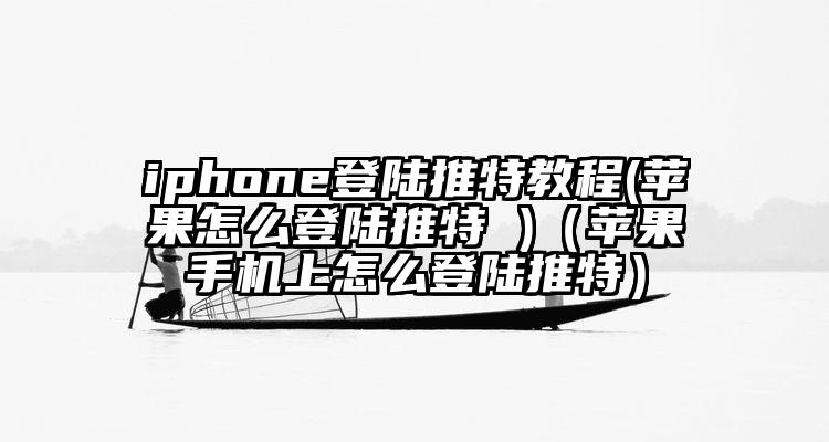 iphone登陆推特教程(苹果怎么登陆推特 )（苹果手机上怎么登陆推特）