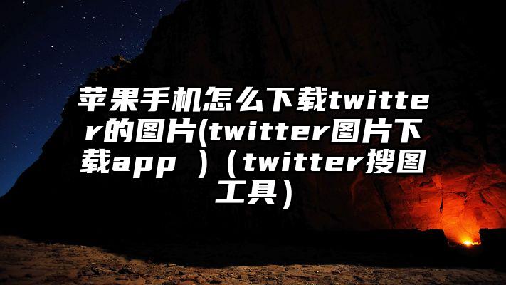苹果手机怎么下载twitter的图片(twitter图片下载app )（twitter搜图工具）
