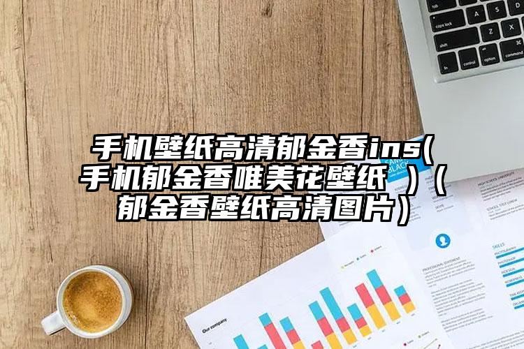 手机壁纸高清郁金香ins(手机郁金香唯美花壁纸 )（郁金香壁纸高清图片）