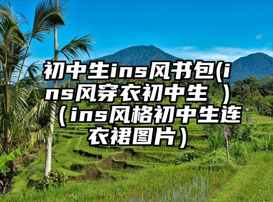 初中生ins风书包(ins风穿衣初中生 )（ins风格初中生连衣裙图片）