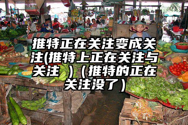 推特正在关注变成关注(推特上正在关注与关注 )（推特的正在关注没了）