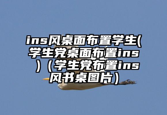 ins风桌面布置学生(学生党桌面布置ins )（学生党布置ins风书桌图片）