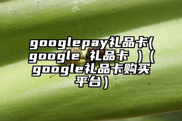 googlepay礼品卡(google 礼品卡 )（google礼品卡购买平台）