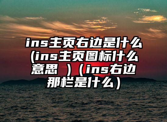 ins主页右边是什么(ins主页图标什么意思 )(ins右边那栏是什么)