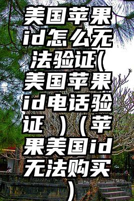 美国苹果id怎么无法验证(美国苹果id电话验证 )（苹果美国id无法购买）