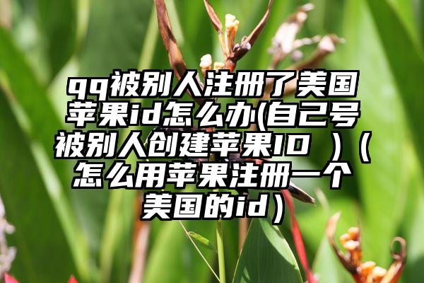 qq被别人注册了美国苹果id怎么办(自己号被别人创建苹果ID )（怎么用苹果注册一个美国的id）