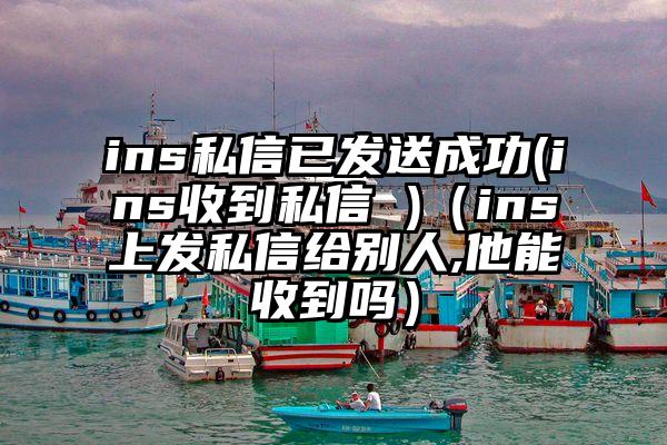 ins私信已发送成功(ins收到私信 )（ins上发私信给别人,他能收到吗）
