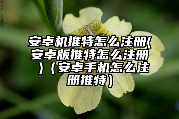 安卓机推特怎么注册(安卓版推特怎么注册 )（安卓手机怎么注册推特）