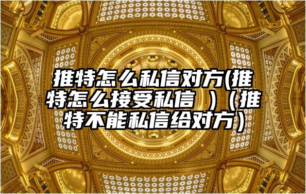 推特怎么私信对方(推特怎么接受私信 )（推特不能私信给对方）