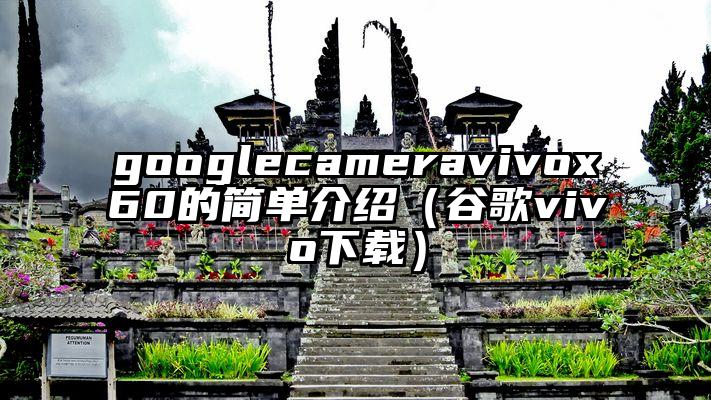 googlecameravivox60的简单介绍（谷歌vivo下载）