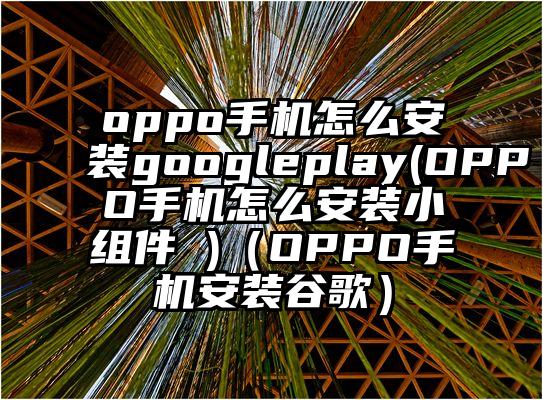 oppo手机怎么安装googleplay(OPPO手机怎么安装小组件 )（OPPO手机安装谷歌）