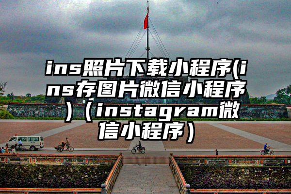 ins照片下载小程序(ins存图片微信小程序 )（instagram微信小程序）