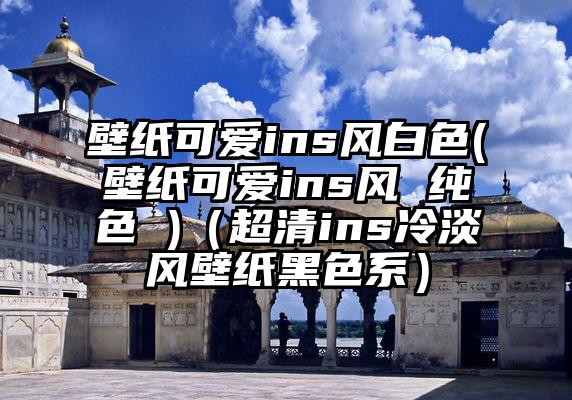 壁纸可爱ins风白色(壁纸可爱ins风 纯色 )（超清ins冷淡风壁纸黑色系）