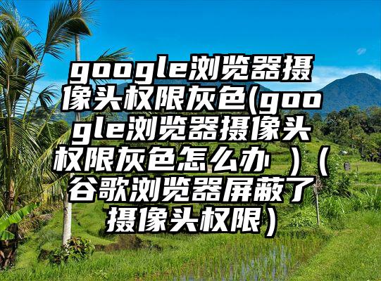 google浏览器摄像头权限灰色(google浏览器摄像头权限灰色怎么办 )（谷歌浏览器屏蔽了摄像头权限）