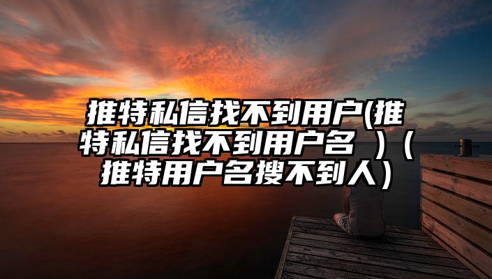 推特私信找不到用户(推特私信找不到用户名 )(推特用户名搜不到人)