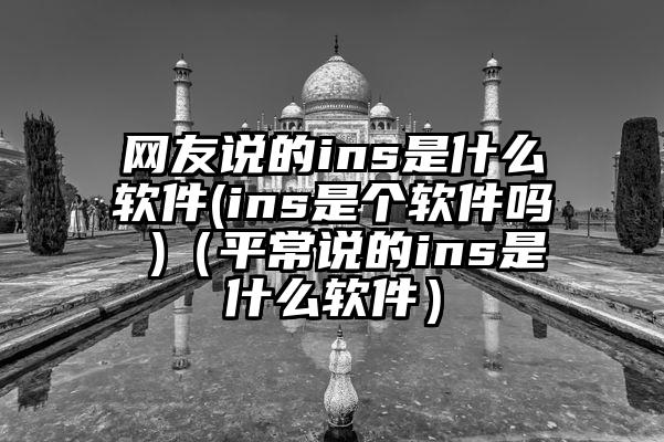 网友说的ins是什么软件(ins是个软件吗 )（平常说的ins是什么软件）