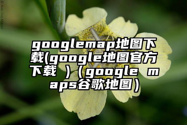 googlemap地图下载(google地图官方下载 )（google maps谷歌地图）
